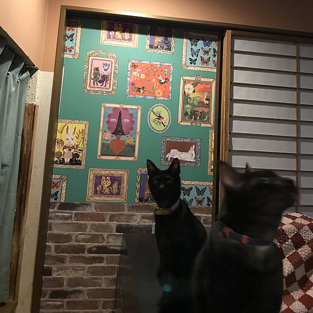 実例写真