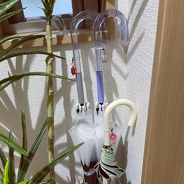 chiiさんの部屋