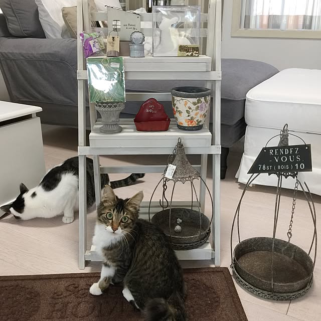 yuchiさんの実例写真