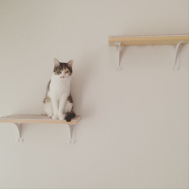 makiさんの実例写真