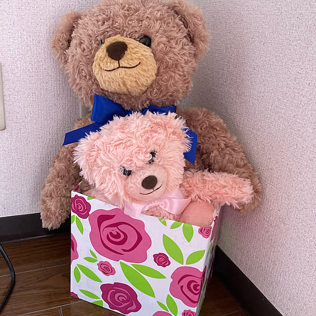 runahimeさんの実例写真