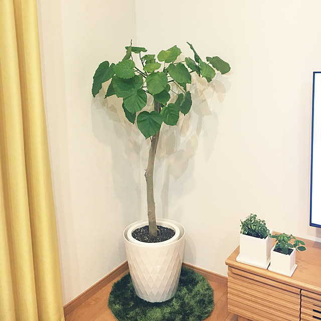nanachanmamaさんの実例写真