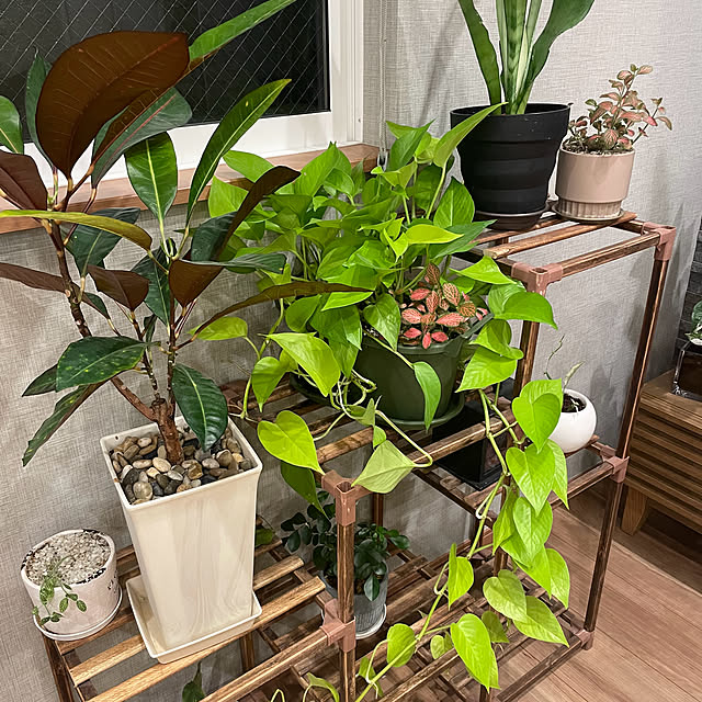 ikuzakさんの部屋