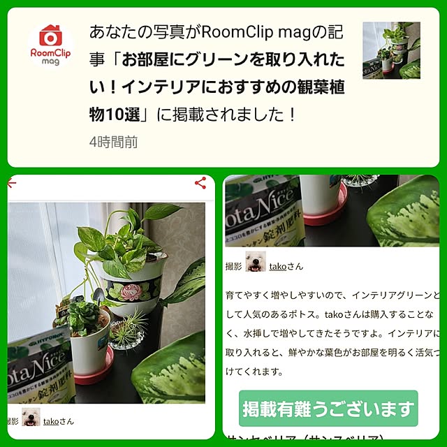 takoさんの実例写真