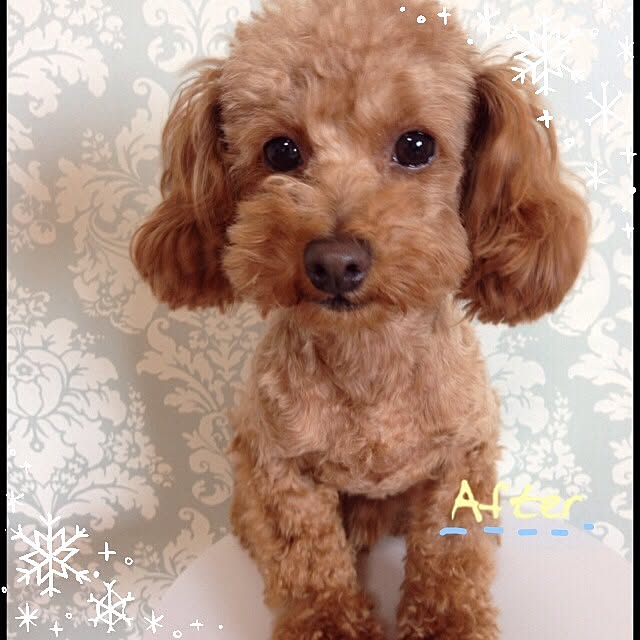 hirameさんの実例写真