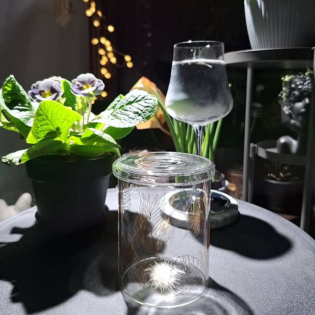 noaさんの実例写真