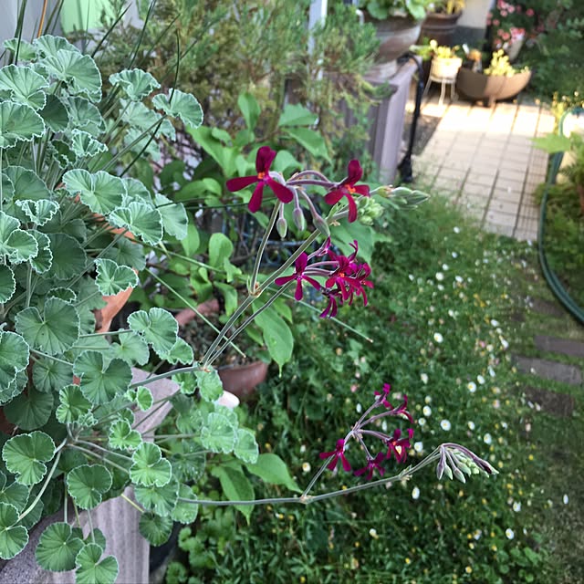 frostyさんの実例写真