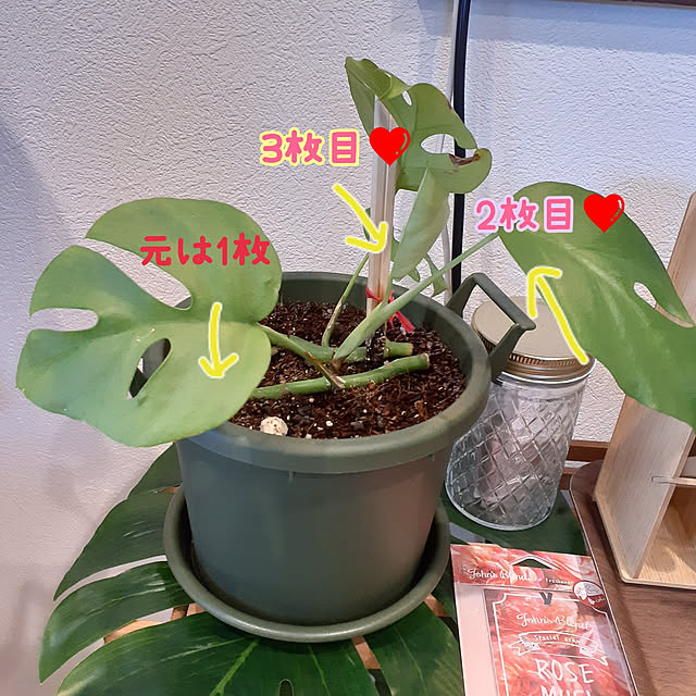 kaede617さんの実例写真