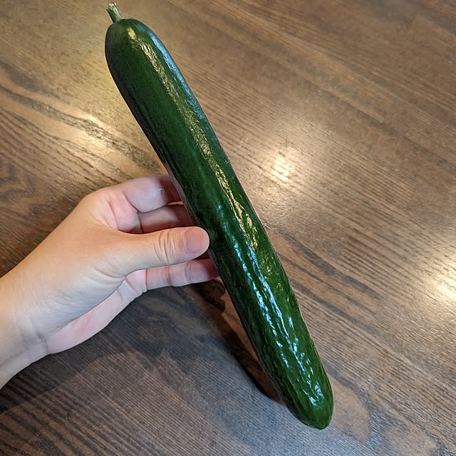 Kaoriさんの実例写真