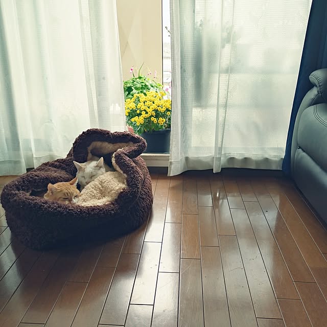 NOAHさんの実例写真