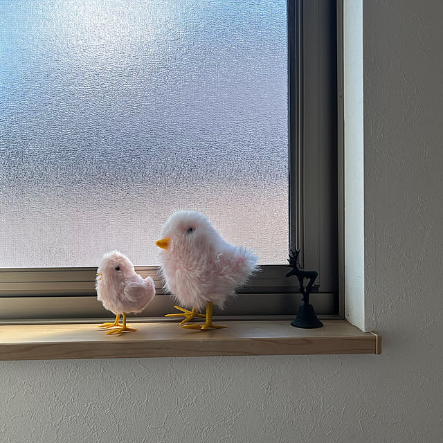hatsugaさんの部屋