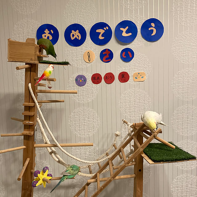 toratanさんの実例写真