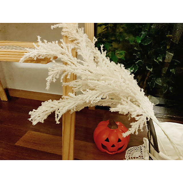 erityさんの実例写真