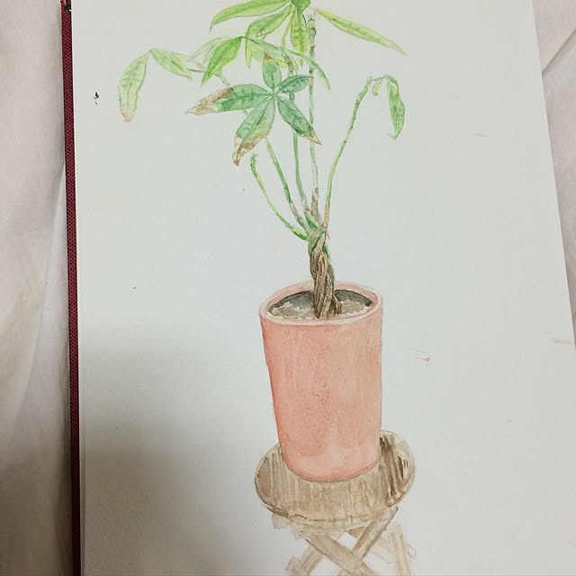リビング/観葉植物のインテリア実例 - 2017-04-20 00:42:04