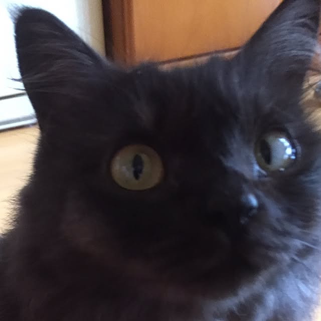 maria.rさんの実例写真