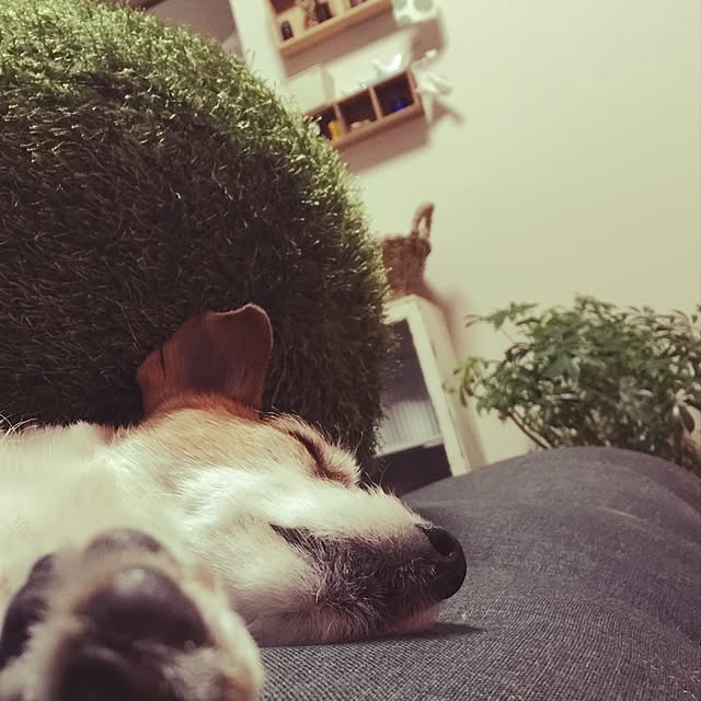 rcoaさんの実例写真
