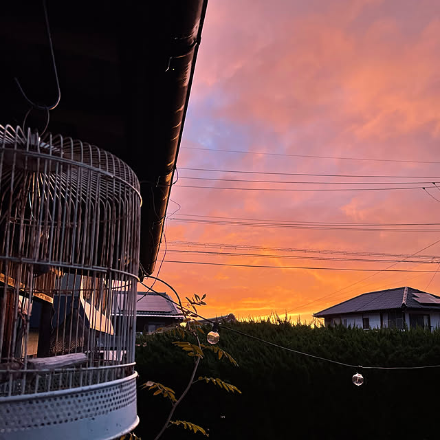 shin0719さんの部屋