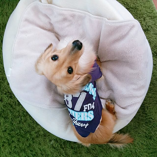 chocolateさんの実例写真