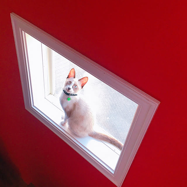 Moroさんの実例写真
