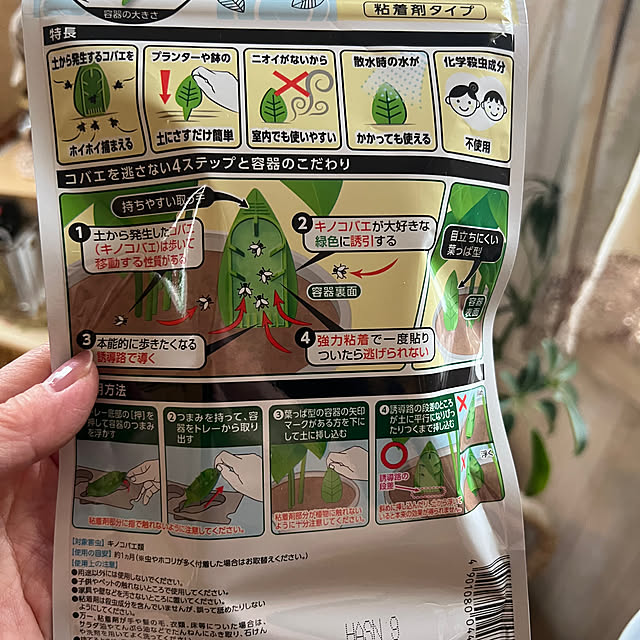 AYUKOさんの部屋