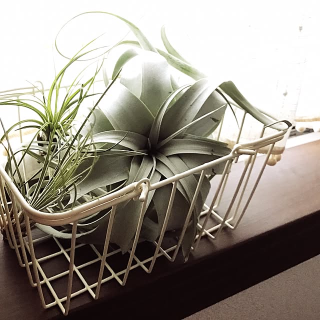 mizuさんの実例写真