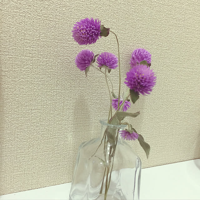 reeさんの実例写真