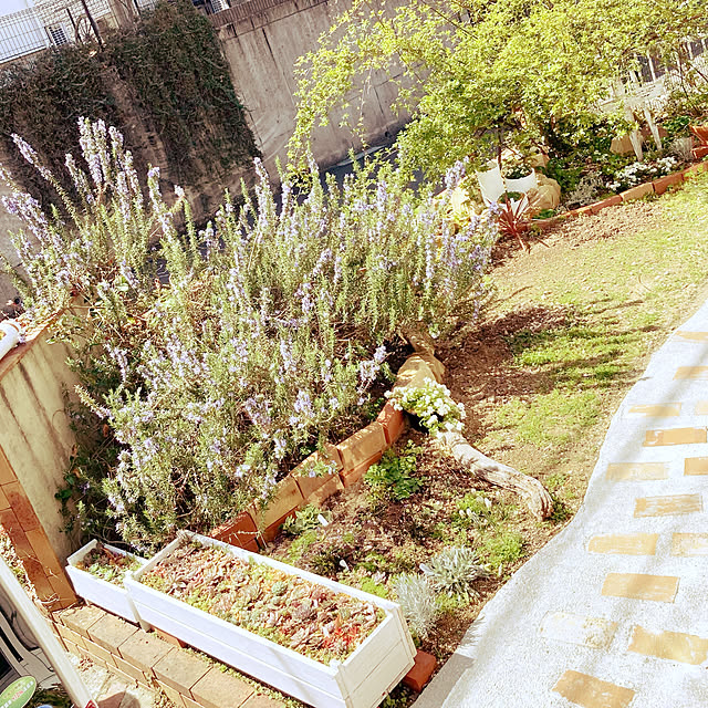 Mimiさんの実例写真