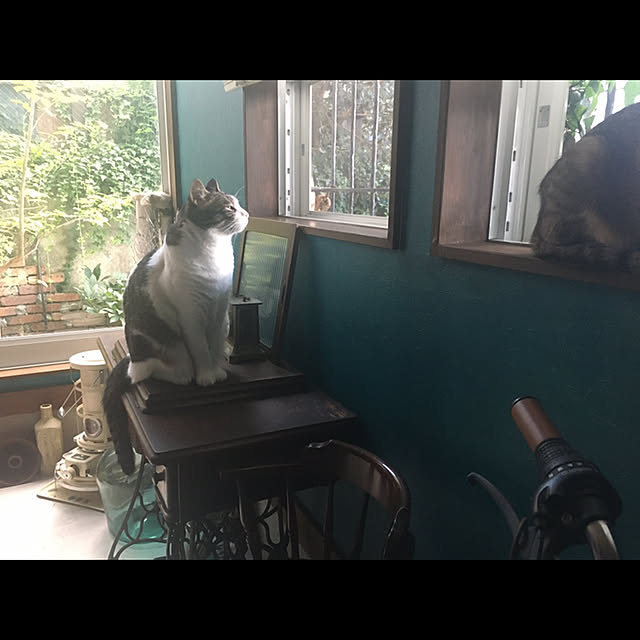 marusanさんの実例写真