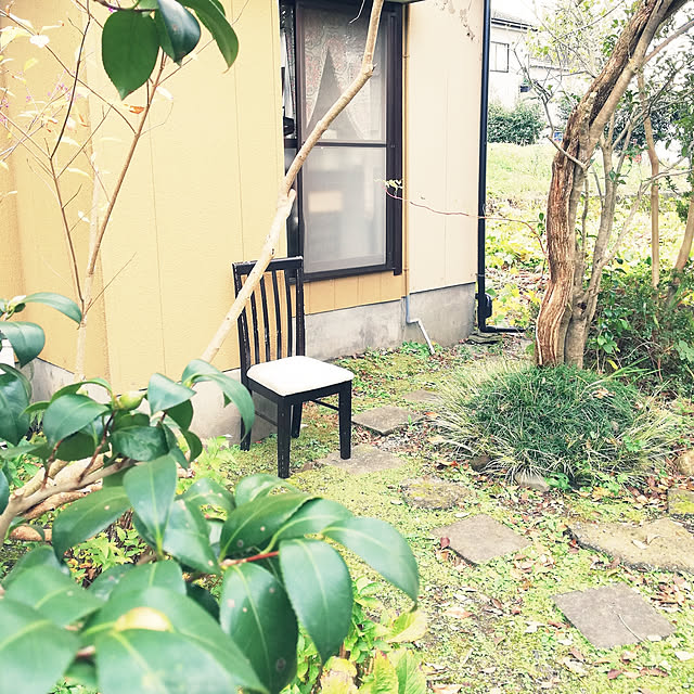 amanojakuさんの実例写真