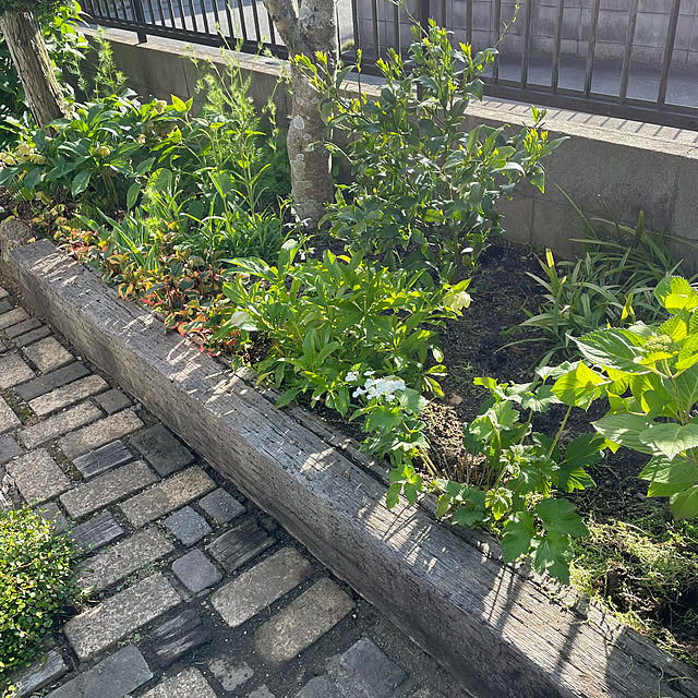 nobikoさんの部屋