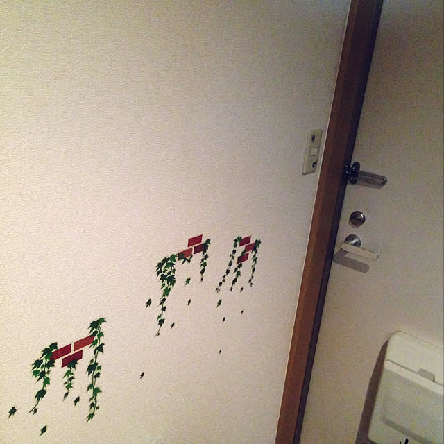 aoinokimiさんの実例写真