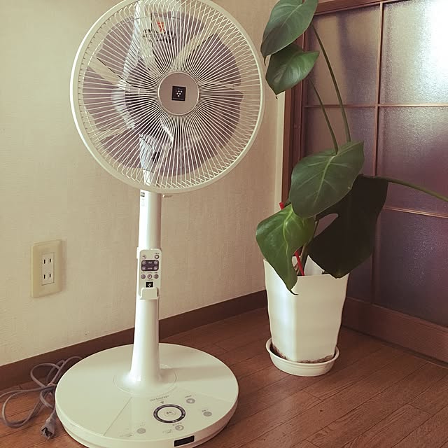 love_january24さんの実例写真