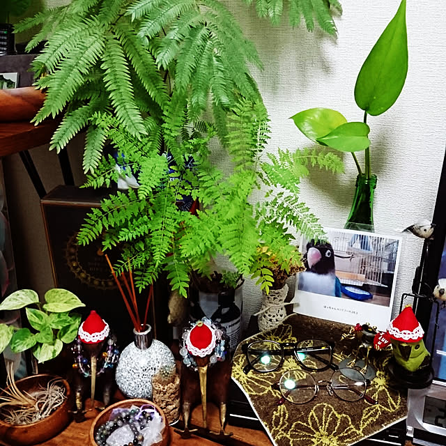 s.p.sunaoさんの実例写真