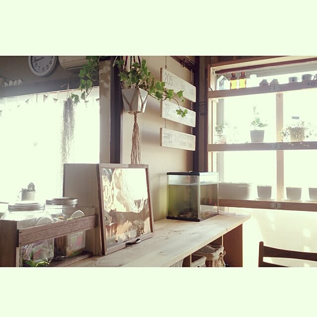 miporin0711さんの実例写真