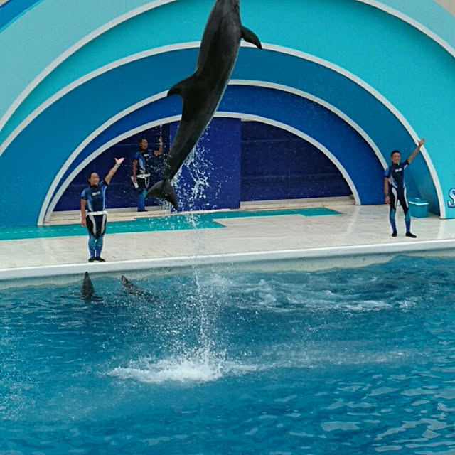 実例写真