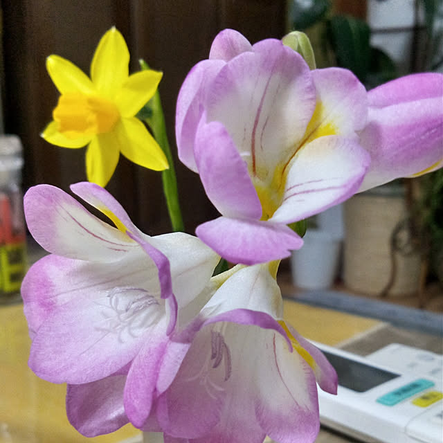 Yoshietanka3492さんの実例写真