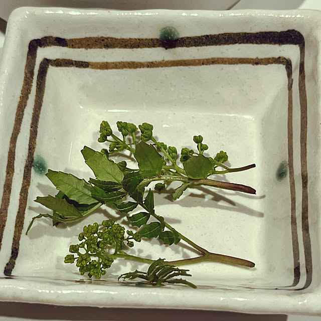cotaさんの部屋