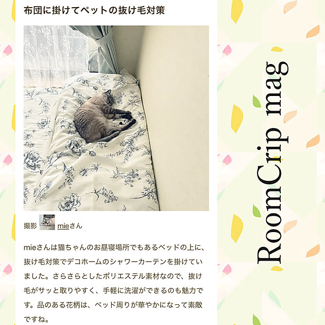 実例写真