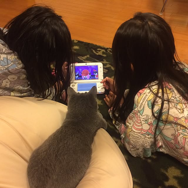 Shojiさんの実例写真