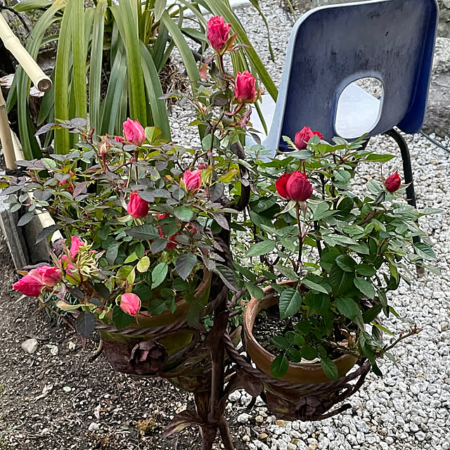 shin0719さんの実例写真