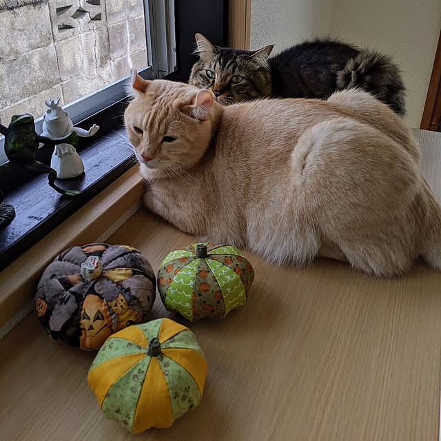 makoさんの実例写真