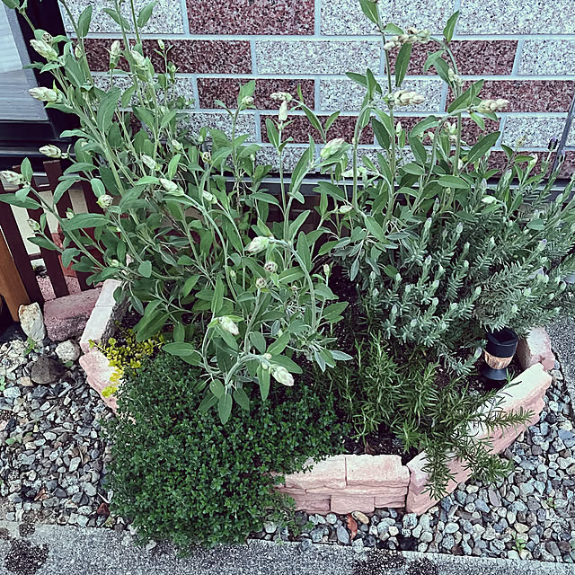 tentenさんの実例写真