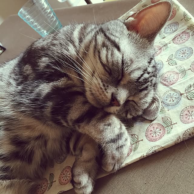 Ryokoさんの実例写真