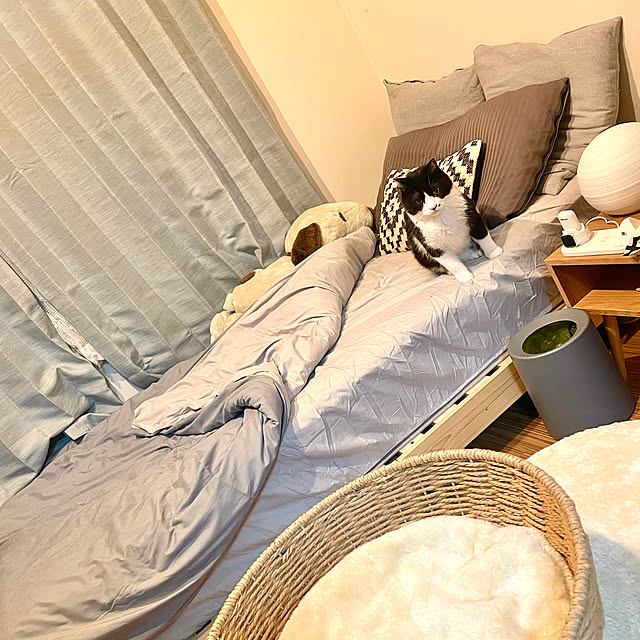 okekeさんの実例写真