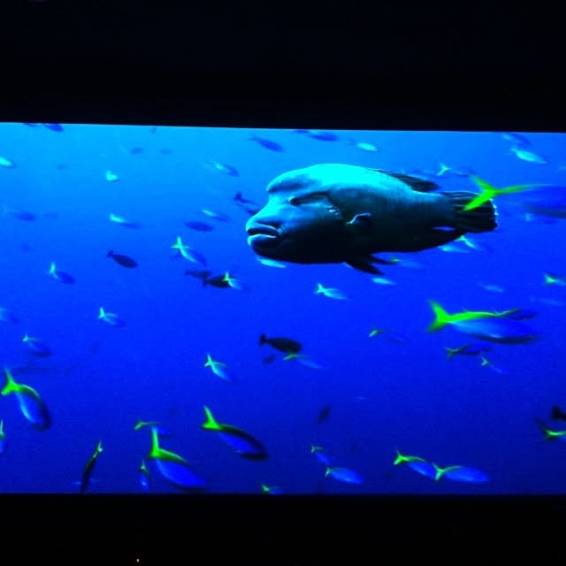 Shigeさんの実例写真