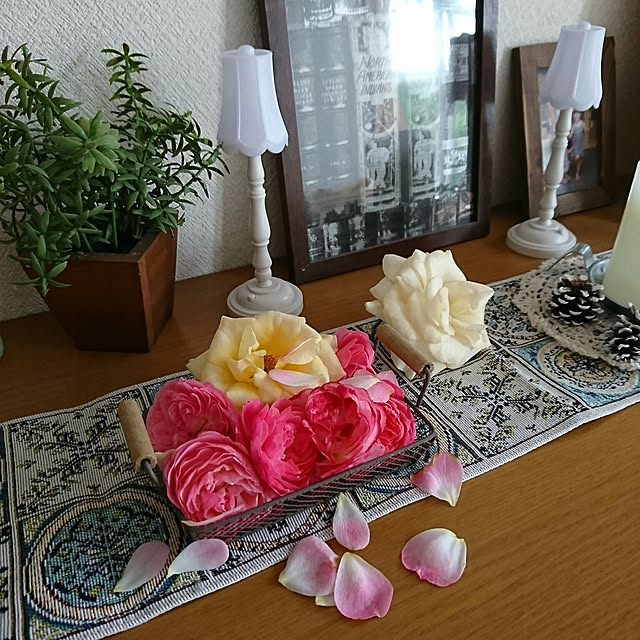 Midoriさんの実例写真