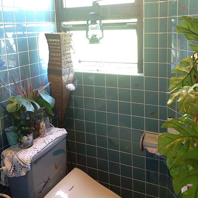 Seiさんの実例写真
