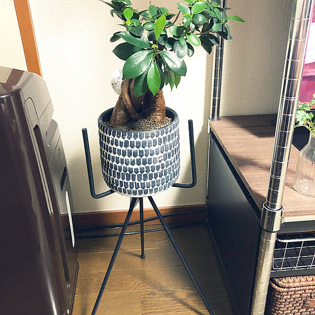 koさんの実例写真