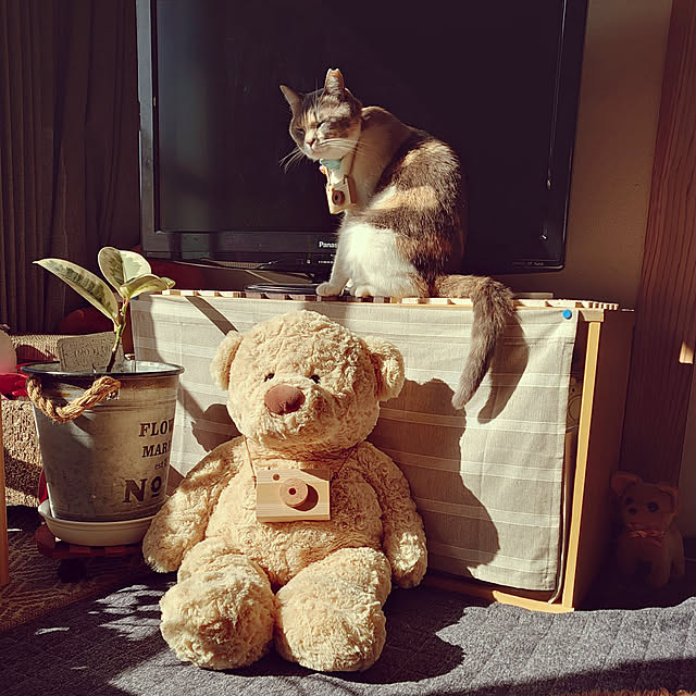 fukuさんの実例写真