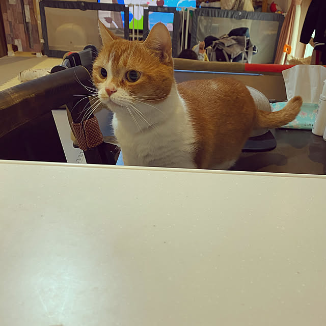 KotarouKunさんの実例写真